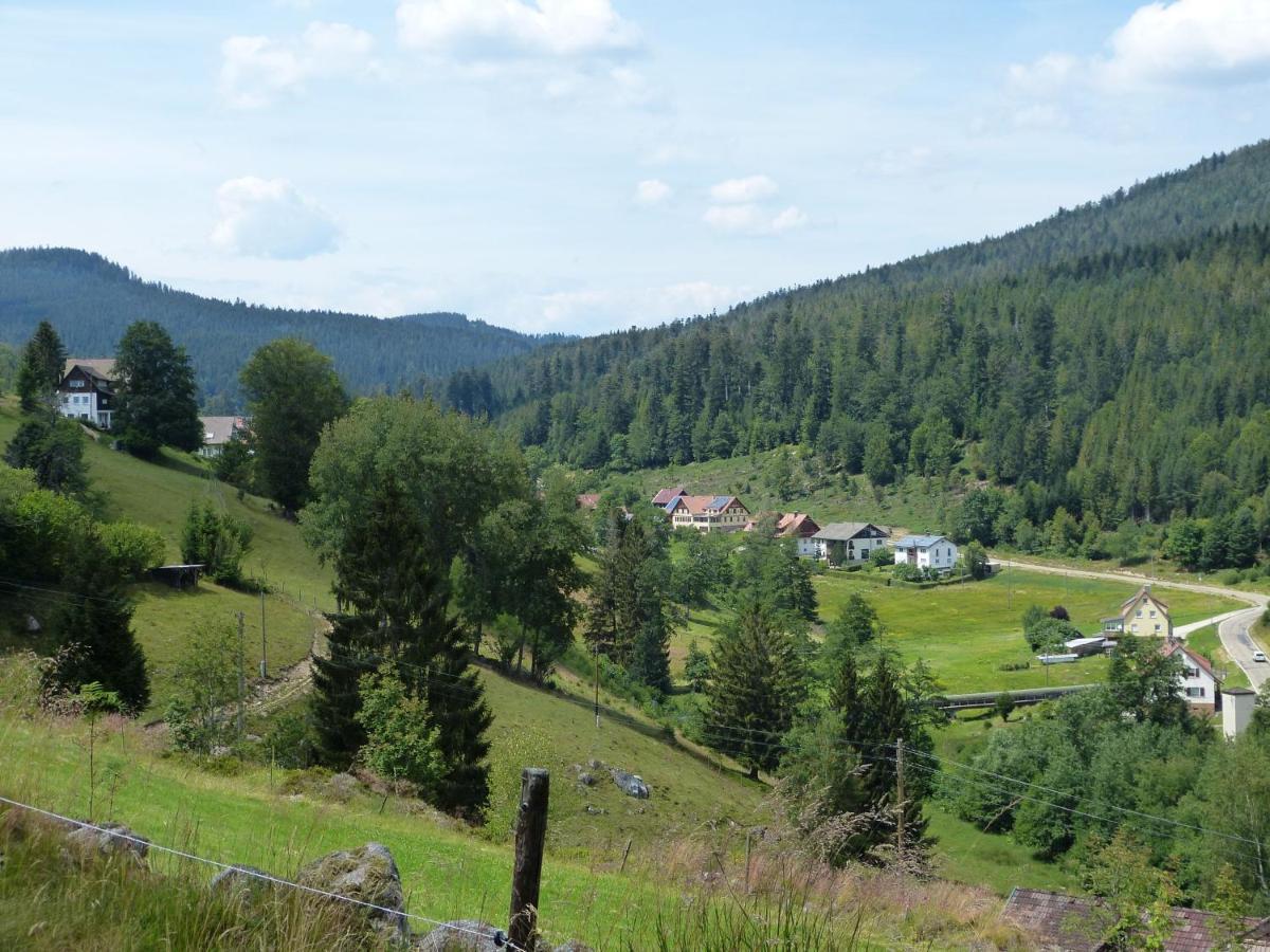 Ferienwohnung Haus Wiesengrund Forbach Esterno foto